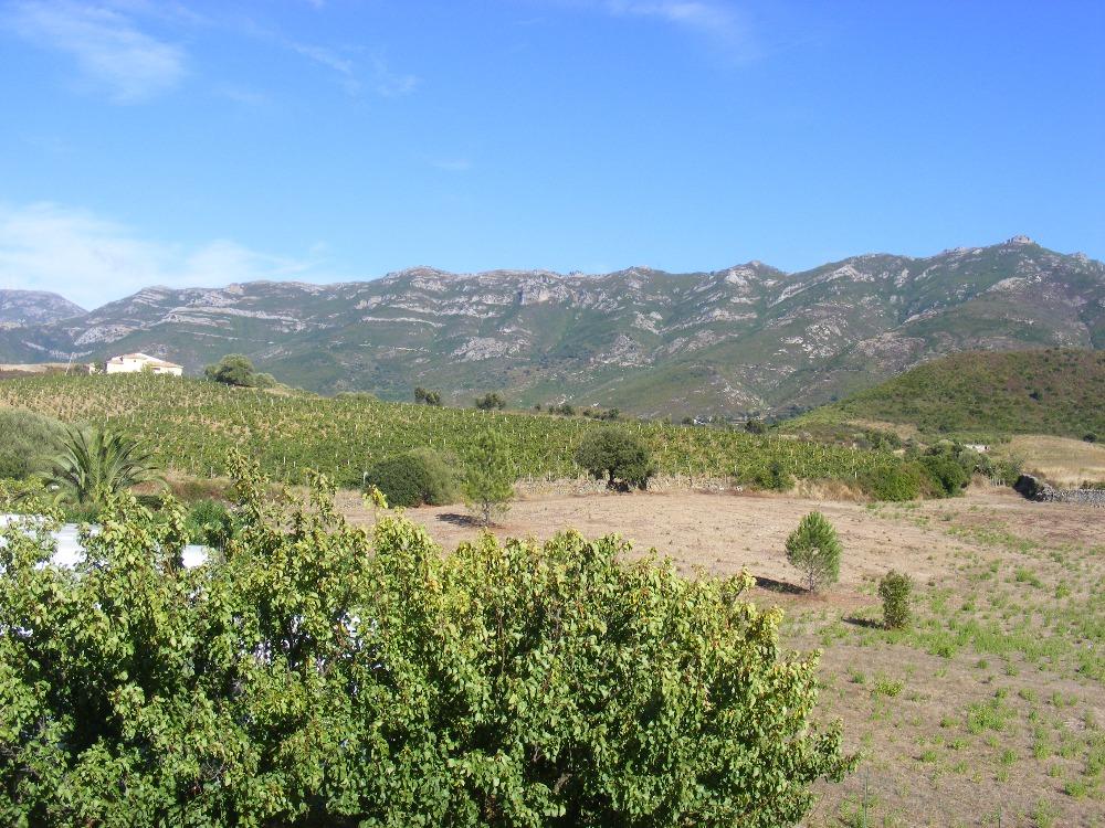 Conca Oru Immobilier