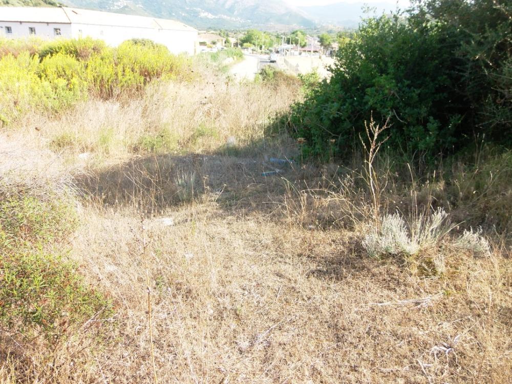 Conca Oru Immobilier