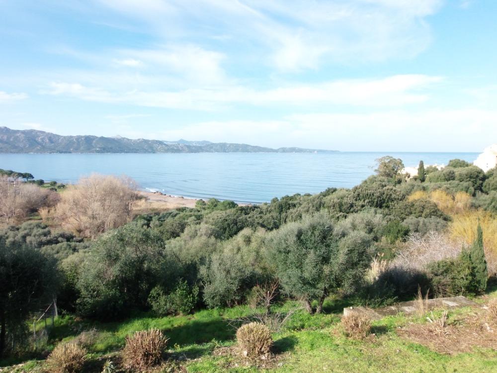 Conca Oru Immobilier