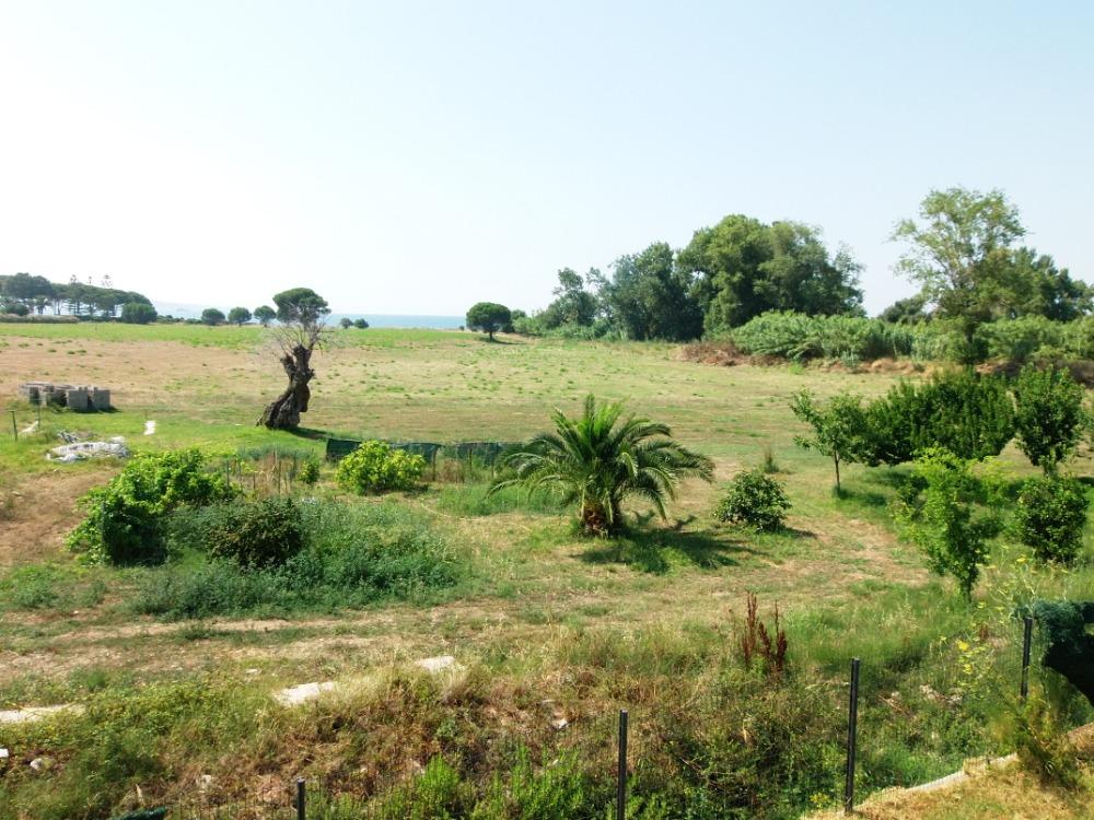 Conca d'Oru Immobilier