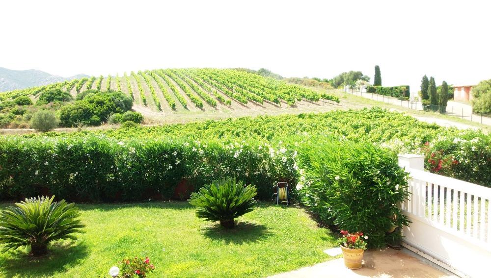 Conca d'Oru Immobilier