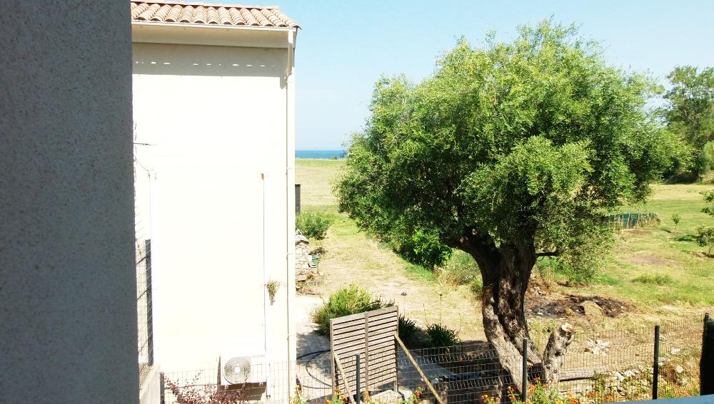 Conca d'Oru Immobilier