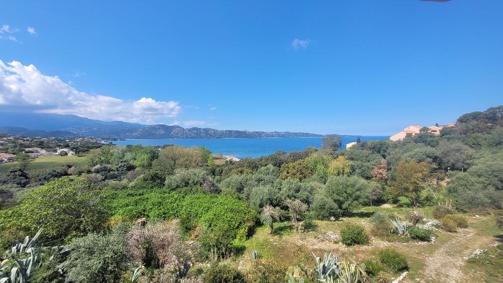 Conca Oru Immobilier