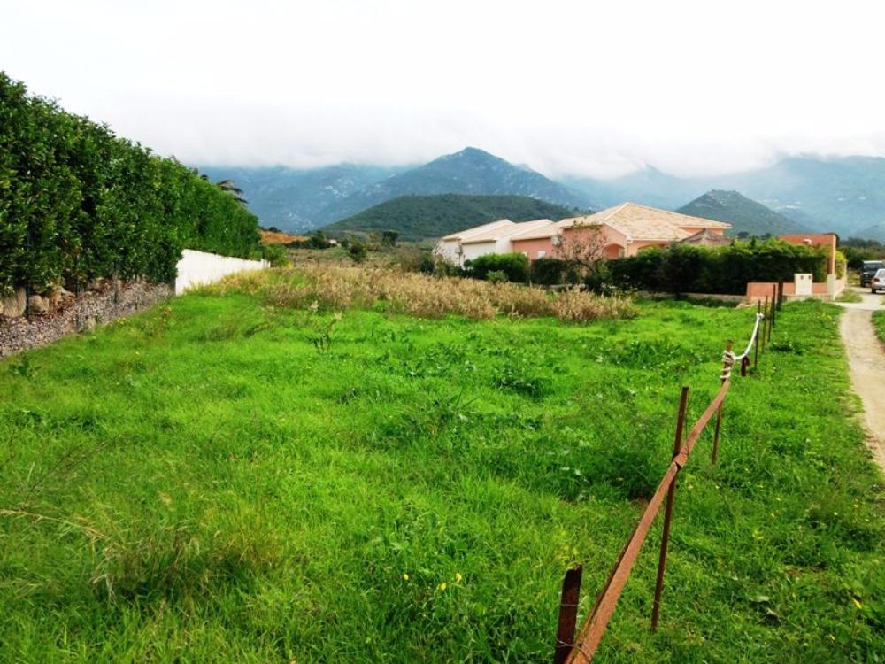 Conca Oru Immobilier