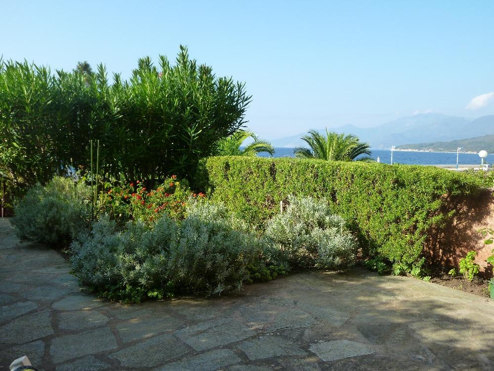 Conca Oru Immobilier