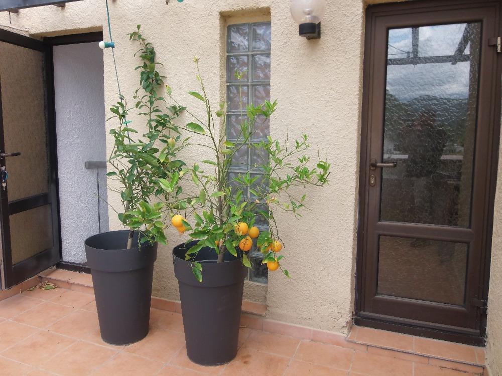 Conca d'Oru Immobilier
