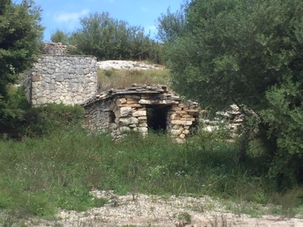 Conca Oru Immobilier