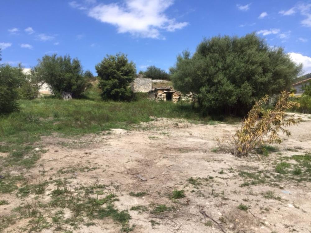 Conca Oru Immobilier