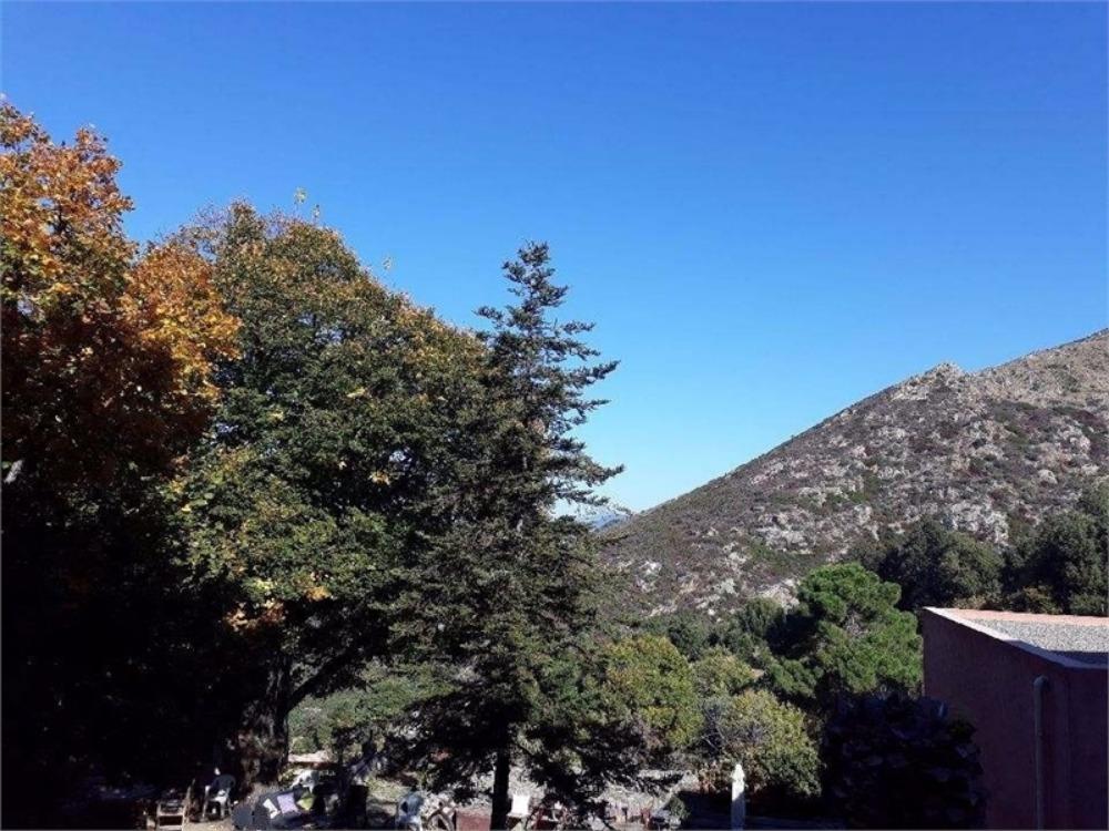 Conca d'Oru Immobilier